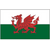3-Ft x 5-Ft Wales Nylon Flag