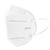 Pack of 50 KN95 Disposable Respirator