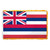 Hawaii 4X6ft Nylon Flag with Indoor Pole Hem and Fringe