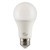 CASE OF 24 - LED A19 Bulb - 15W - 1600 Lumens - Euri Lighting
