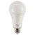 CASE OF 24 - LED A21 Bulb - 22W - 2550 Lumens - High Output - Euri Lighting