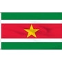 Suriname Flags