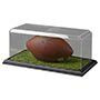 Sports and Collectibles Display Cases