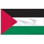 Palestine - Palestinian Flags