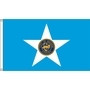 Houston City Flags