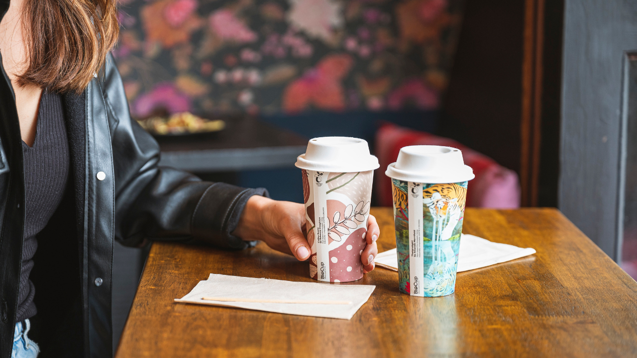 Special Offers & Clearance