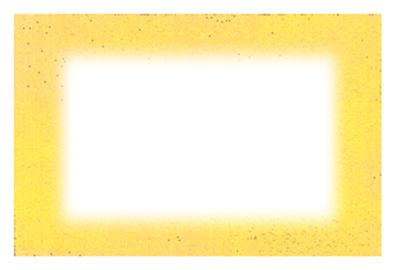 Sunshine Wide Border Jam Jar Labels - Ideal for Mustard - Lovely for cakes and all things ...