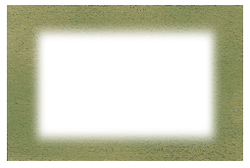 Forest Green Wide Border Design -  Olive Jar Preserving Labels -  Also Lovely as Jam Labels, cake labels, Food Labels - 50mm by 8.400mm