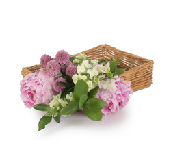 Small Straight-Sided Rectangular Tray