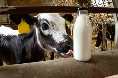 ​British farmers are diversifying: here's how and why