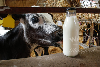 What are the benefits of raw milk?