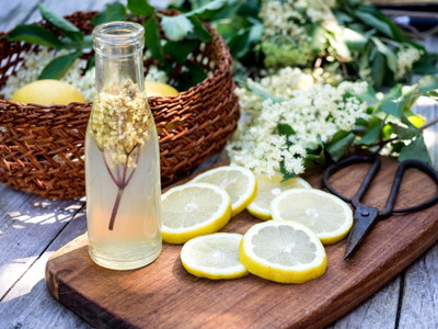 Discovering Elderflower Champagne Discovering Elderflower Champagne