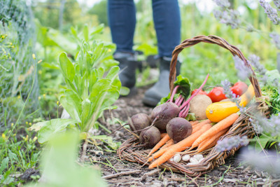 Grow Your Own Vegetables Grow Your Own Vegetables