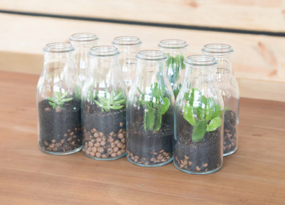 Glass Bottles Are Not Just For Christmas!!!