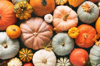 From Pumpkin to Preserves: A Halloween Without Waste