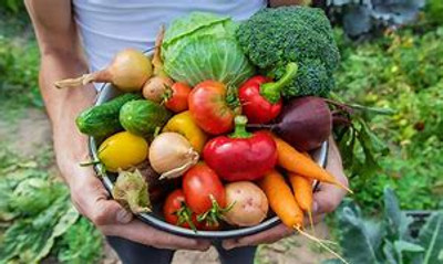 Seasonal, healthy recipes to try in January Seasonal, healthy recipes to try in January