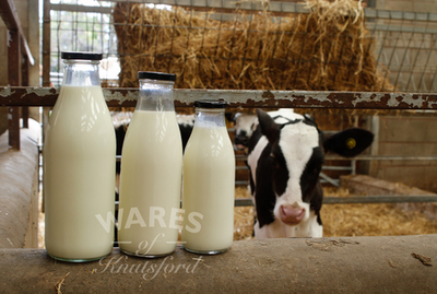 ​The classic 1 litre glass milk bottle