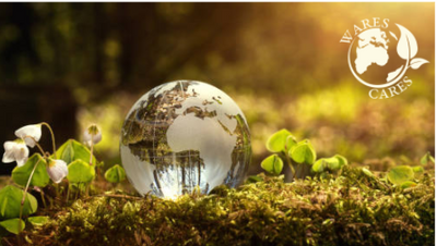 ​Zero waste shops: The eco friendly revolution