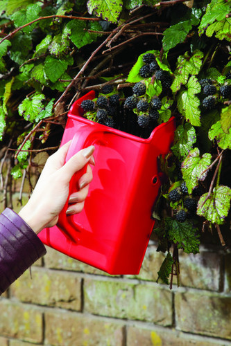 Berry Picker