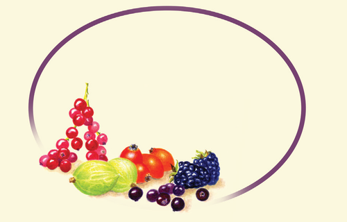 Peelable Jam Labels - Redcurrants, Gooseberry's, Rosehips, Blackberries and Blackcurrents