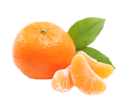 satsuma.png