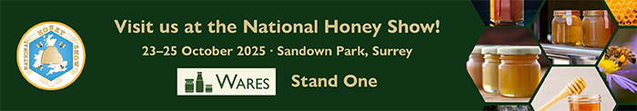 web-banner-low-new-2.png