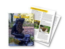 Article by Christy Hemenway, of Gold Star Honeybees, featured in North Carolina Bee Buzz Magazine!