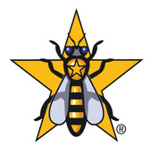 Why is this company called Gold Star Honeybees?