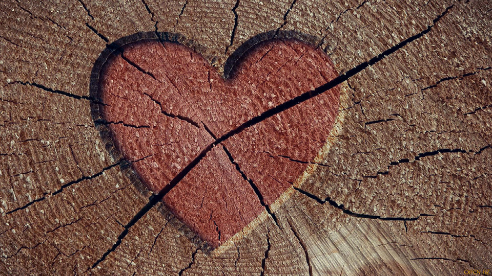 The heartbreak of absconding...