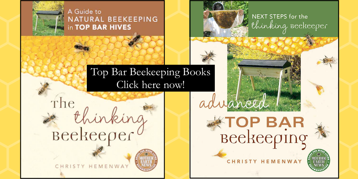 Top Bar Hives Kits Books Classes Bees Gold Star Honeybees