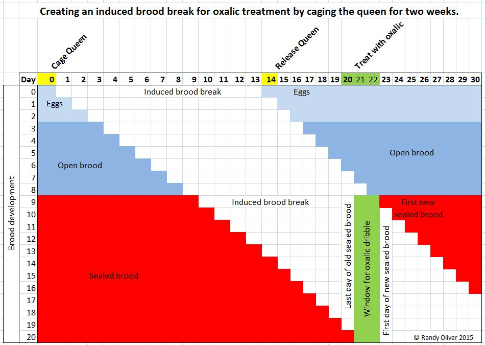 brood-break-chart.png