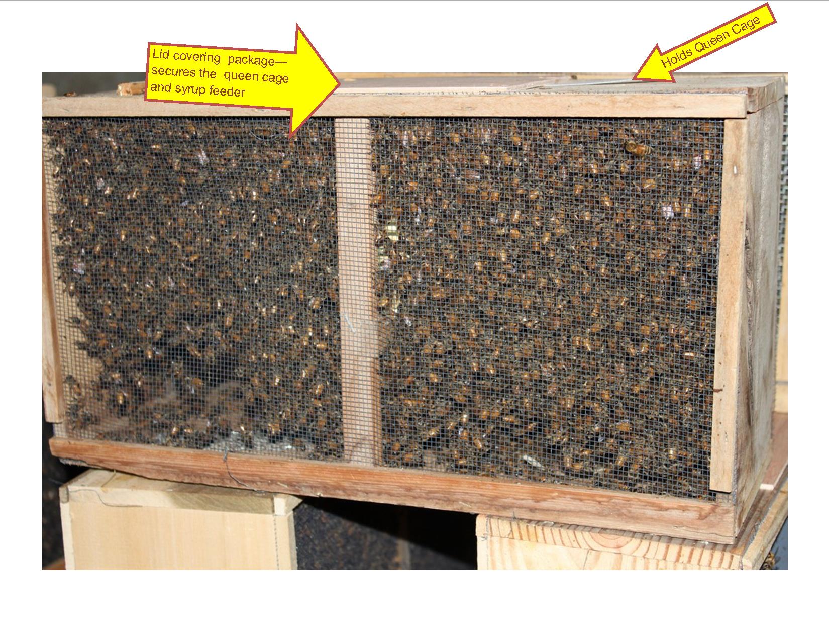 gsh-package-of-bees.jpg