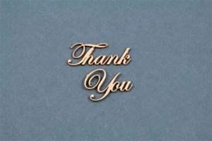 Scrapiniec - Decorative Chipboards - Thank You x 9