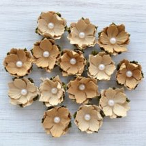 Paper Flowers with Pearl - Flower Craft Embellishments - Caramel Blush (14 Pack) (HM017)
These sophisticated multi layered Handcrafted Paper Flowers have been created with care and attention to detail. Use your creativity and imagination for that perfect floral touch. Ideal for all crafting projects including, handmade cards, scrapbooking, gift crafts and much more. 14pcs per pack. Approx Sizes: Largest 30mm. Add Adhesive to apply. Variety of craft uses. Paper Flowers with Pearl - Flower Craft Embellishments - Caramel Blush (14 Pack) (HM017)
These sophisticated multi layered Handcrafted Paper Flowers have been created with care and attention to detail. Use your creativity and imagination for that perfect floral touch. Ideal for all crafting projects including, handmade cards, scrapbooking, gift crafts and much more. 14pcs per pack. Approx Sizes: Largest 30mm. Add Adhesive to apply. Variety of craft uses.