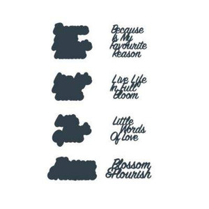 The Paper Boutique Sentiments Collection XIII Craft Die - (PBDC1041)

• High quality steel die
• Contains 8 dies
• Size 4.5 x 4cm /1.8″ x 1.6″