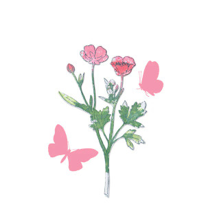 Sizzix A5 Clear Stamps Set 10PK w/2PK Framelits Die Set Painted Pencil Mushrooms by 49 and Market - (666637)
Get creative with these beautiful botanicals from 49 and Market. Featuring a delicate floral stem in both a solid and pencil outline to stamp over the top, experiment with color and technique to create a pretty watercolor effect. The seven stamps are accompanied by a Framelits® die to perfectly cut around the botanical stem. Two butterfly stamps are also included to add extra detail to your project. Team up with the Stencil and Stamp Tool (664896) to create precise, professional results every time.
Includes
7 Stamps and Dies
Construction
1000% Carbon Steel and 33% ABS Plastic, 48% Particle Board, 14% Steel Rule, 5% EVA Foam
Packaged Weight
0.51 kgs
Design Dimensions
(Dies) 11.75cm x 11.43cm (Stamps) 7.62cm x 12.38cm - 0.95cm x 1.59cm Sizzix A5 Clear Stamps Set 10PK w/2PK Framelits Die Set Painted Pencil Mushrooms by 49 and Market - (666637)
Get creative with these beautiful botanicals from 49 and Market. Featuring a delicate floral stem in both a solid and pencil outline to stamp over the top, experiment with color and technique to create a pretty watercolor effect. The seven stamps are accompanied by a Framelits® die to perfectly cut around the botanical stem. Two butterfly stamps are also included to add extra detail to your project. Team up with the Stencil and Stamp Tool (664896) to create precise, professional results every time.
Includes
7 Stamps and Dies
Construction
1000% Carbon Steel and 33% ABS Plastic, 48% Particle Board, 14% Steel Rule, 5% EVA Foam
Packaged Weight
0.51 kgs
Design Dimensions
(Dies) 11.75cm x 11.43cm (Stamps) 7.62cm x 12.38cm - 0.95cm x 1.59cm