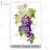 Dress My Craft - Wine Grapes - Transfers (DMCDP6547)

Dress My Craft Mini Transfer Me.  One pack contains 1 sheet of 4"x6" size. It's a unique product that can enhance the look of any plain surface.

How To Use: Step 1: Cut the pattern close to the design.  Step 2: Gently remove the clear sheet.  Step 3: Place the sheet upside down on the surface to be transferred.  Step 4: Apply water generously on the transfer sheet, using a sponge. Step 5: Once the image appears clearly, carefully slide down the white sheet and let it dry for few minutes and don't touch. You may use our Silicon spatula brush to fallten up if needed.  Step 6: Seal the transfer with acrylic varnish or any good sealer.  Important Instructions: **In case of big sheets please peel the film and stick it directly on the surface and then apply water from the back.  After that follow from step 5 onwards. *Please remember to peel the film before sticking it to the surface. *Don't touch immediately after transfering and let it dry for sometime. *Always seal the project to protect the transfer.  Compatible Surfaces: These transfers can be used on Wood, Plastic, Glass, Leather, Metal, Painted Surfaces, Marble, Resin Projects, Journaling Cards etc. P.S.: Sometimes the sheets might have some air bubbles but it's absolutely fine as it won't affect the results.  Please let it dry for sometime and it will settle down and if it doesn't please use our silicon spatula brush to flatten it up.  Product color may slightly vary due to photographic lighting sources or your monitor settings.
