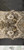 Alchemy Of Art - In Silence - Fabric Extras to Cut - 1 Sheet 70x33cm (AA-IS-FABRIC-04)

Fabric Extras to Cut from the "In Silence" series from Alchemy of Art.  1 Sheet 70 x 33cm.  Suitable for all your mixed media projects.
