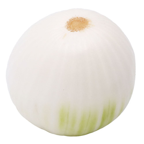 White Onion - 1 Piece
