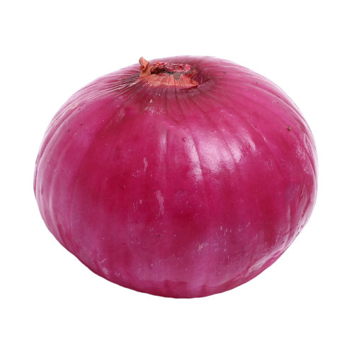 Purple Onion - 1 Piece