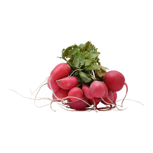 Radish - 1 Piece