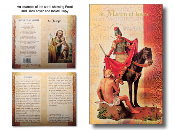 Mini Lives of Saints: St Martin of Tours (LF5494)