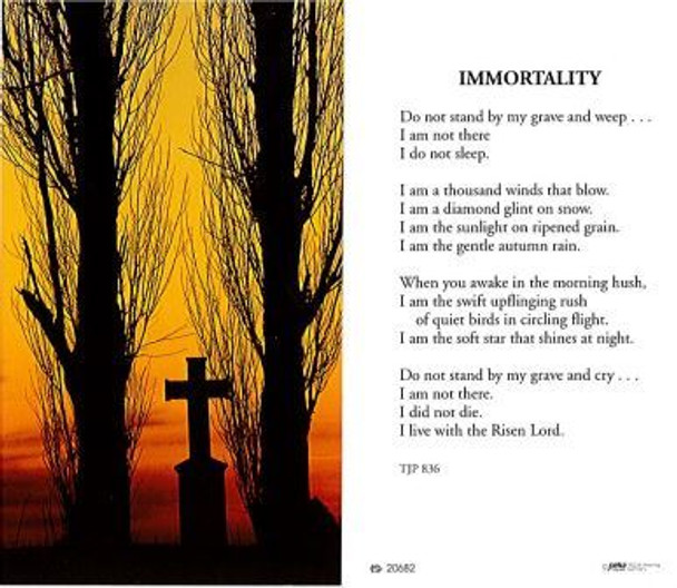 TJP Holy Card: Immortality (TJP836)