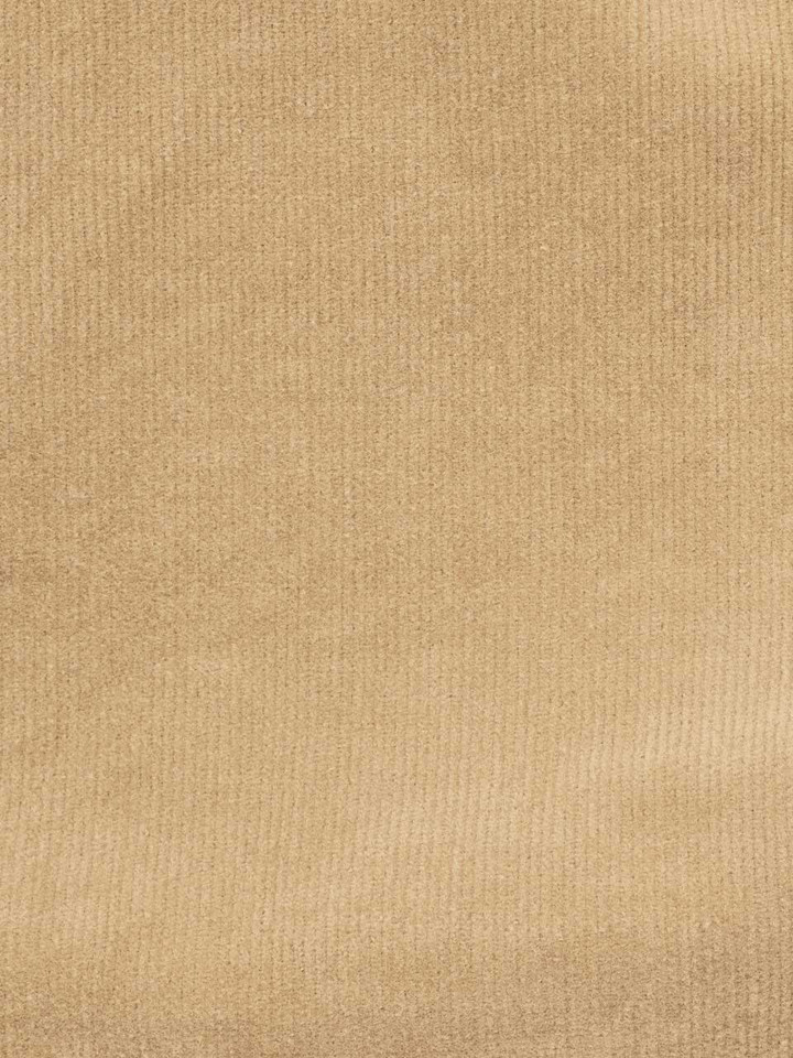 Beige Sand fine Needlecord Corduroy Fabric Close Up