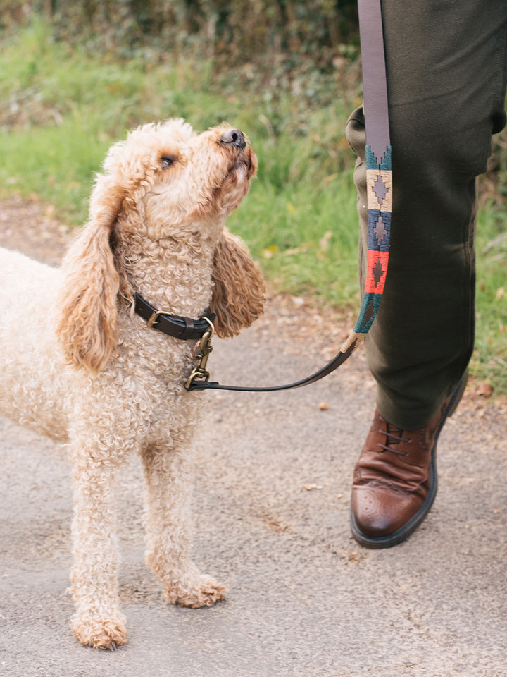 Lord Trousers' Look - Dog Lead