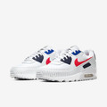 Air max 90 Euro tour(2020)