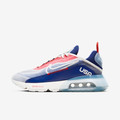 Air max 2090 USA