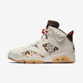 Air Jordan 6 Retro Quai 54 Sail Brown(2020)