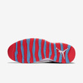 Air Jordan 10 Chicago Flag