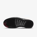 Air Jordan 12 Retro Reverse Flu Game